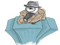 林西县取证公司解说第三者承担离婚赔偿责任吗